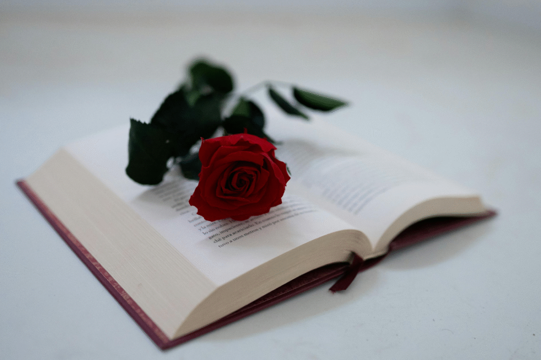 regalar-flores-y-libros-barcelona-sant-jordi-2025