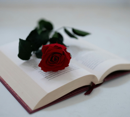 regalar-flores-y-libros-barcelona-sant-jordi-2025